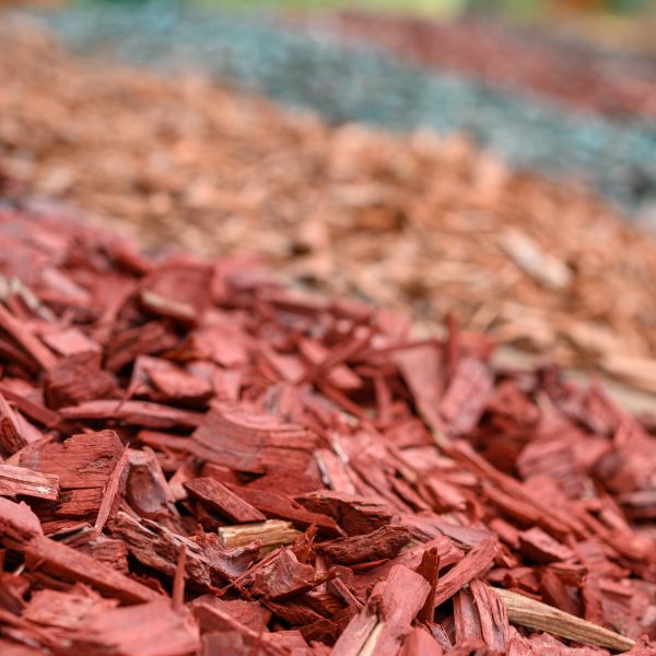 Mulch for decorating a private plot. Mulch for decorating a private plot.